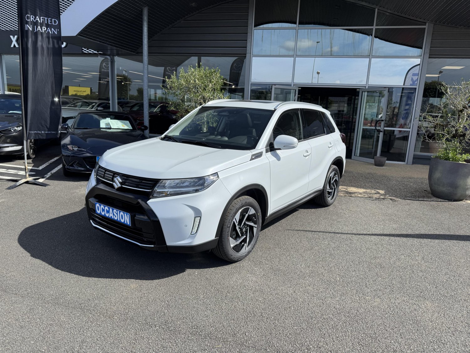suzuki - Visuel 0