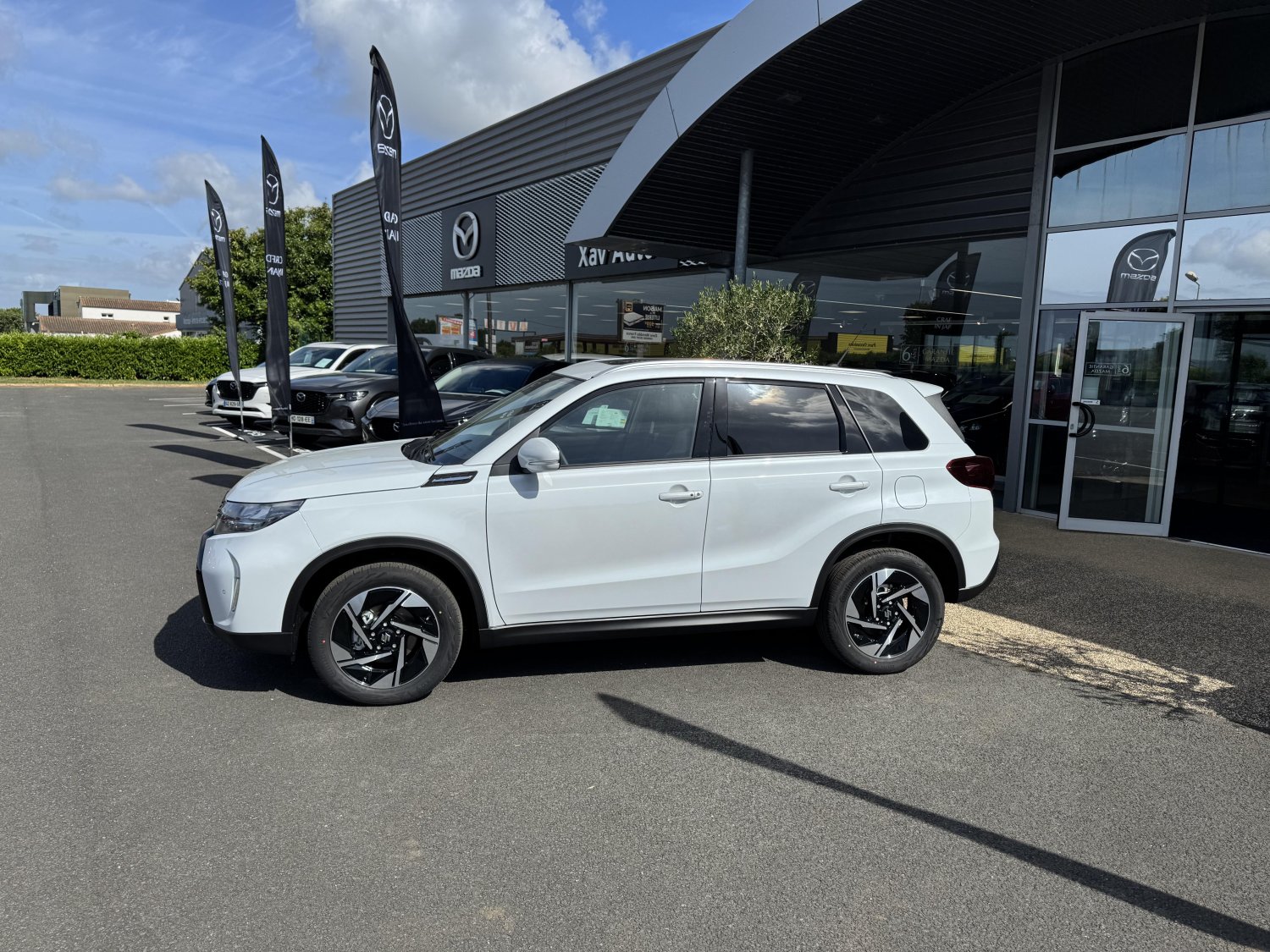 suzuki - Visuel 1