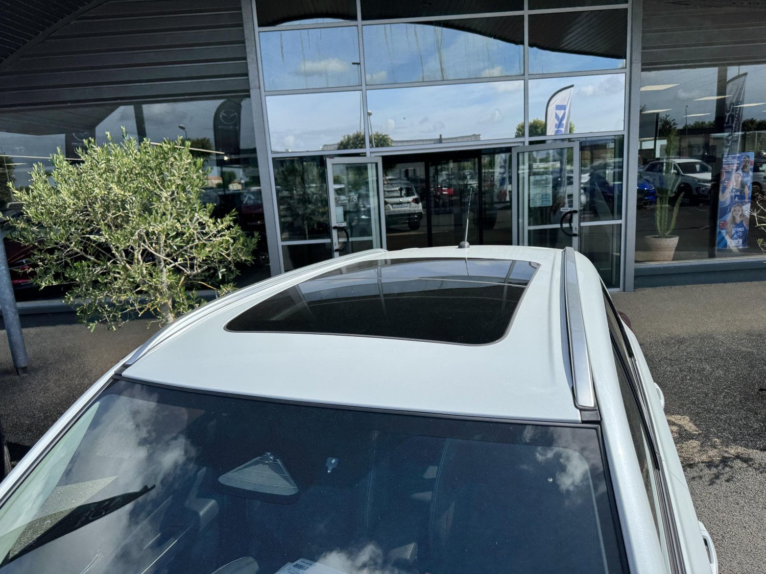 suzuki - Visuel 26