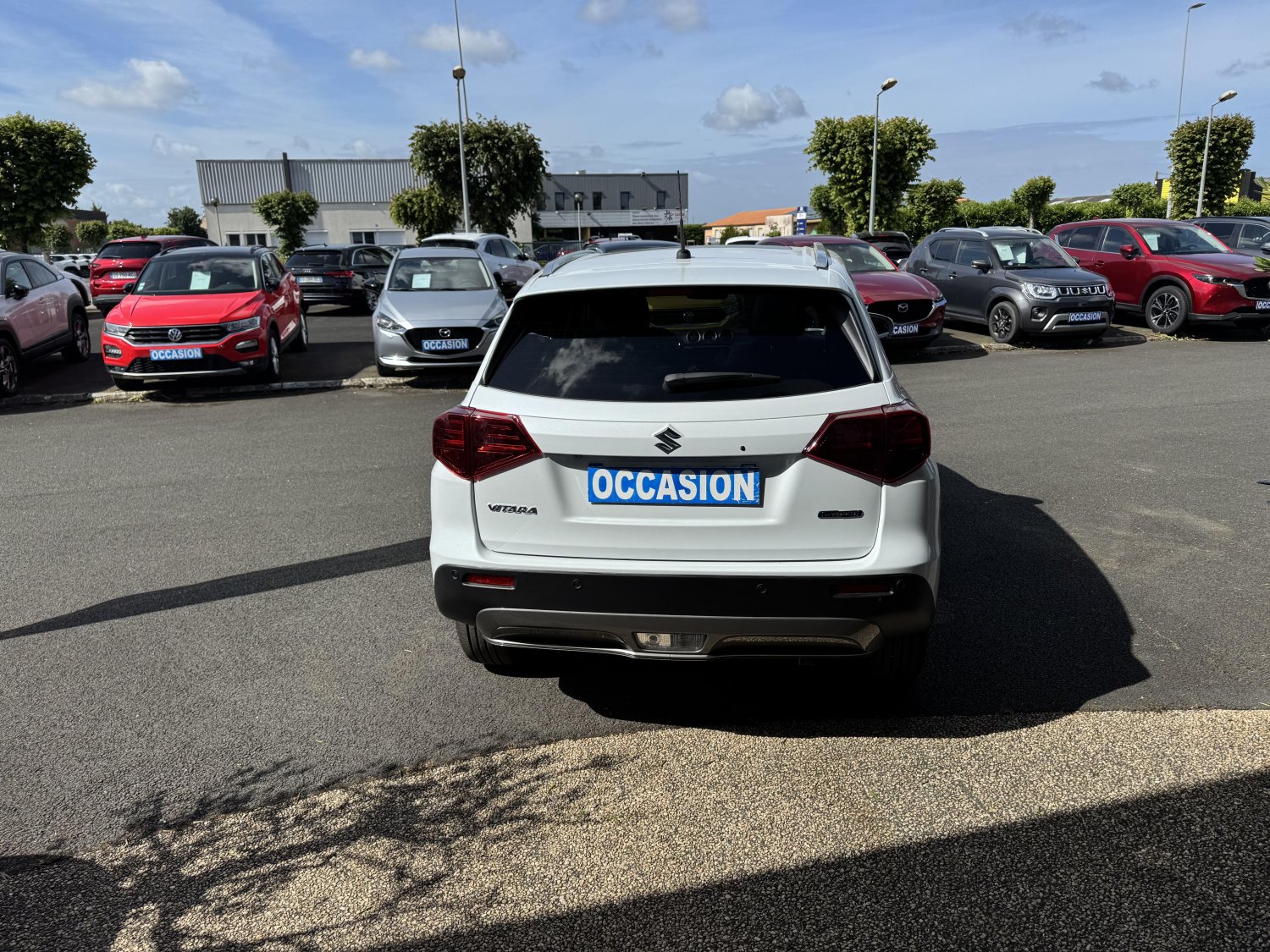 suzuki - Visuel 3
