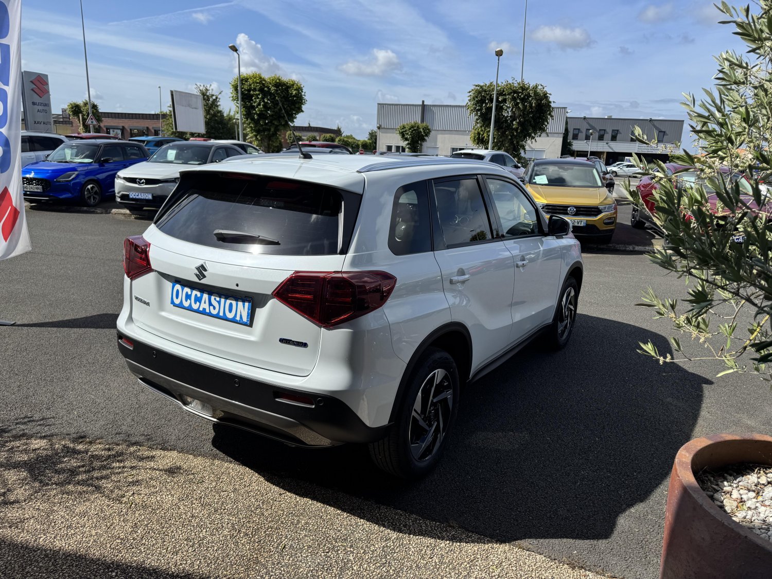 suzuki - Visuel 4
