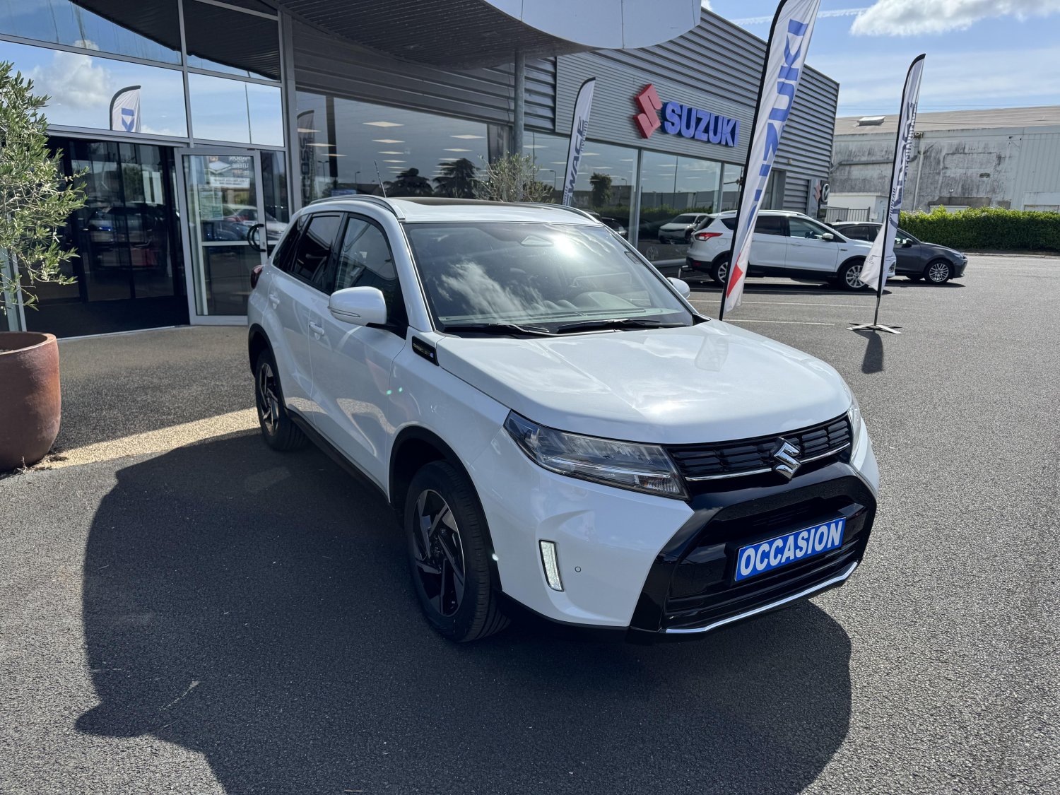 suzuki - Visuel 5