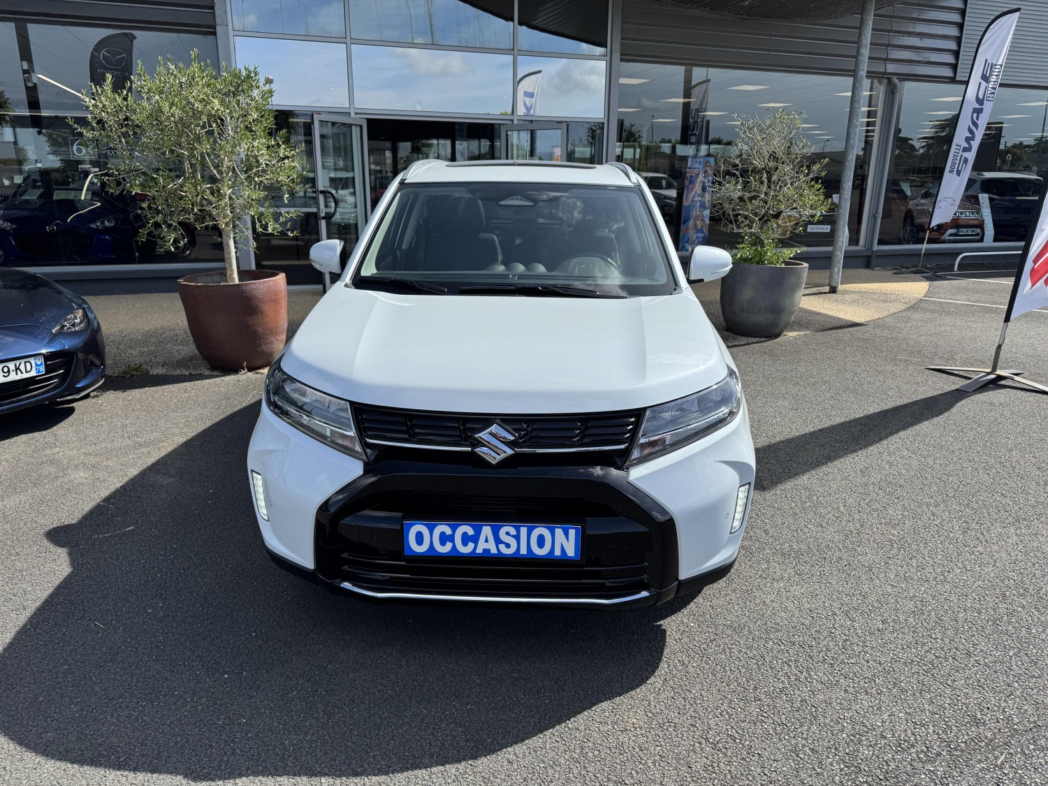 suzuki - Visuel 6