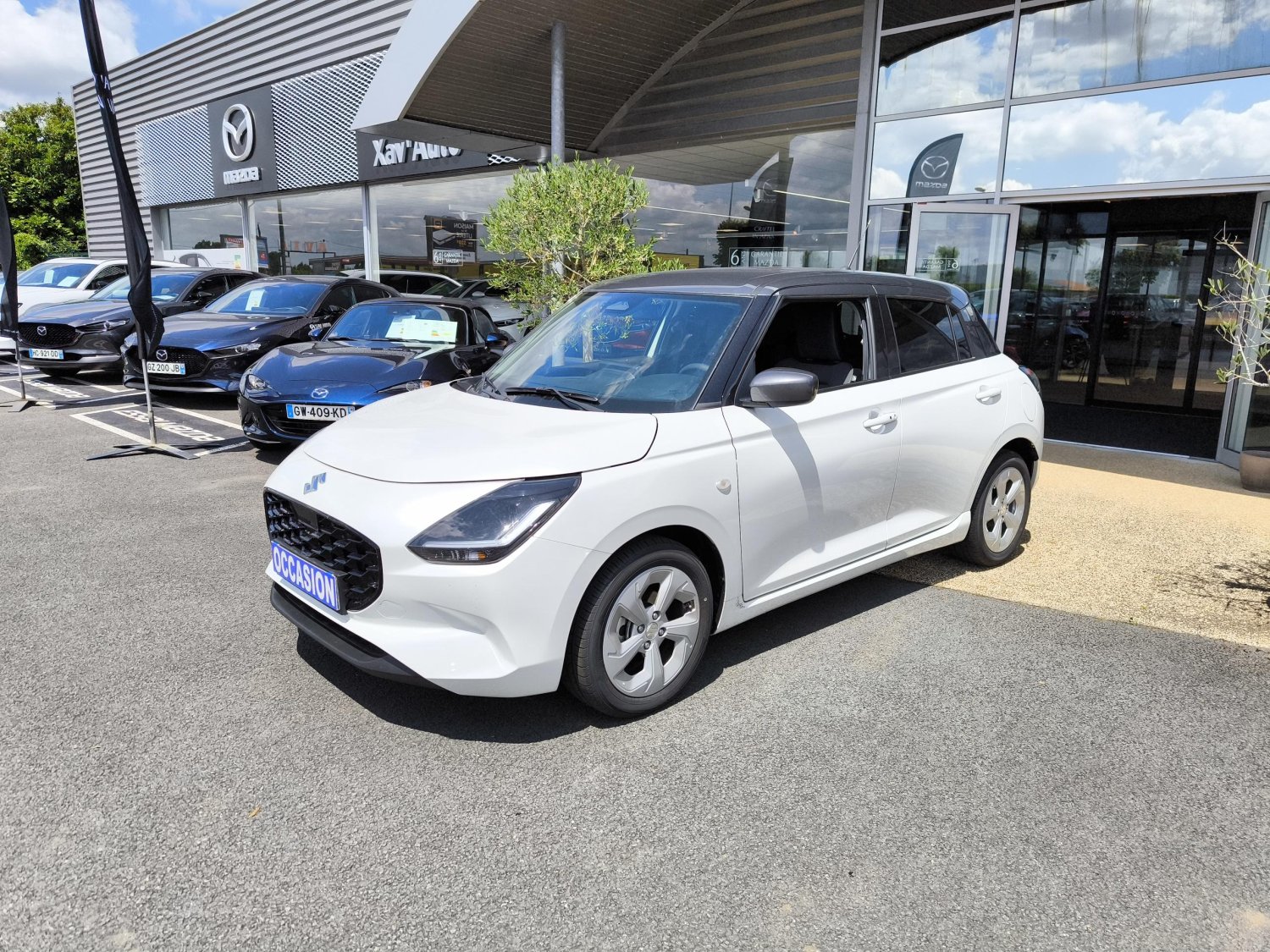 suzuki - Visuel 0