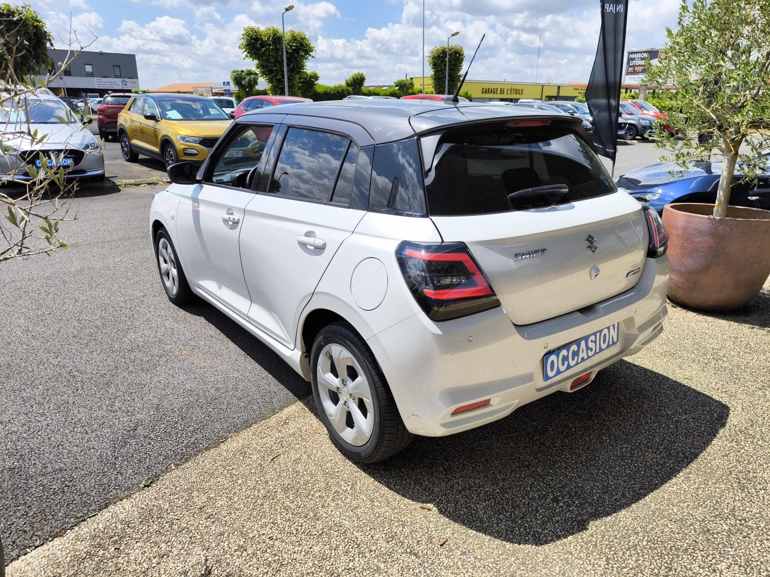 suzuki - Visuel 2