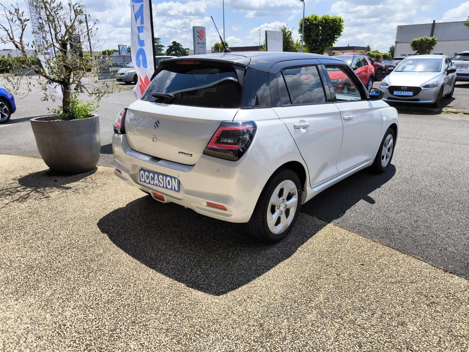 suzuki - Visuel 4