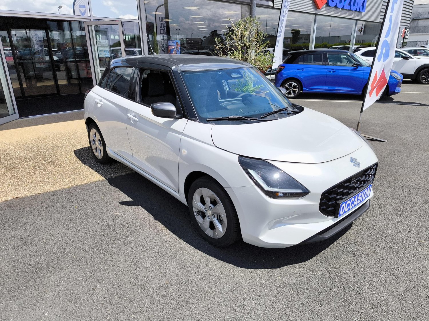 suzuki - Visuel 6