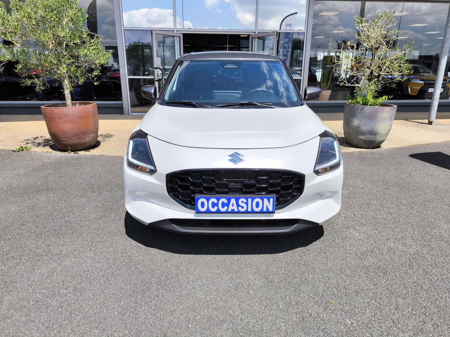 suzuki - Visuel 7