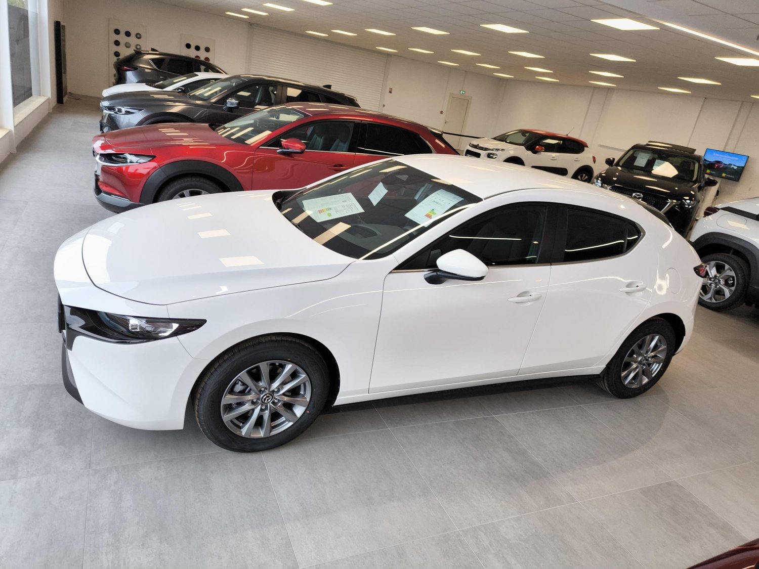 mazda - Visuel 1