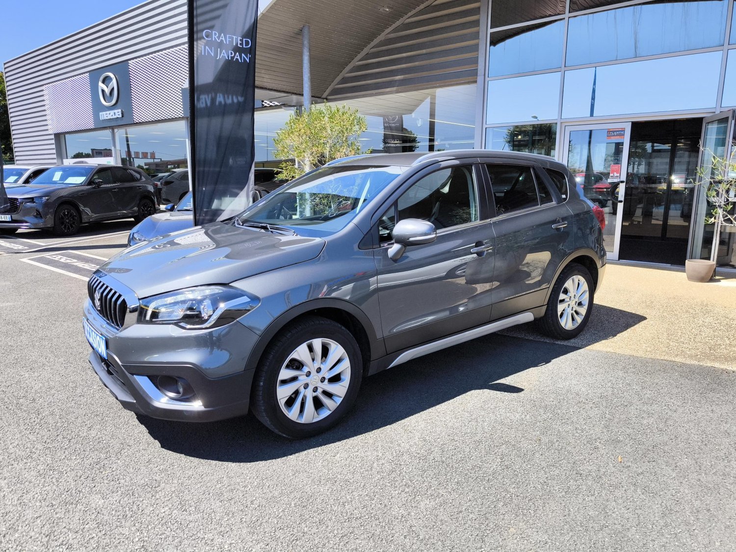 suzuki - Visuel 0