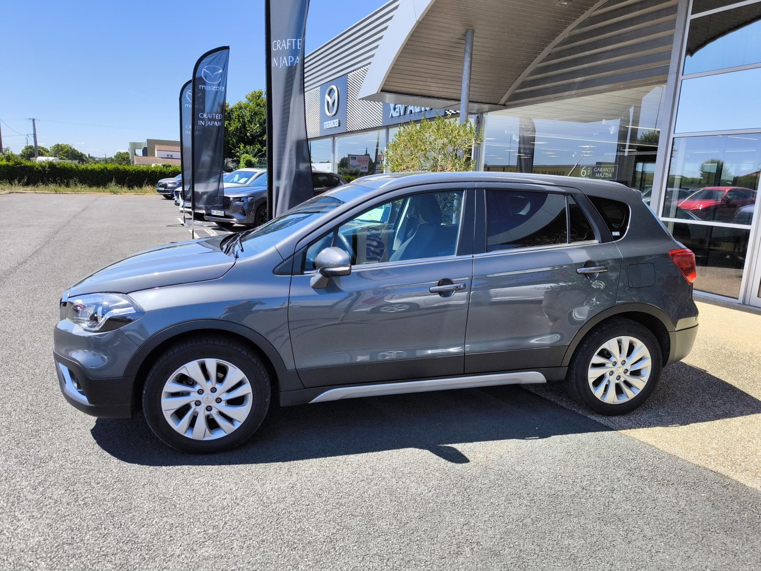 suzuki - Visuel 1