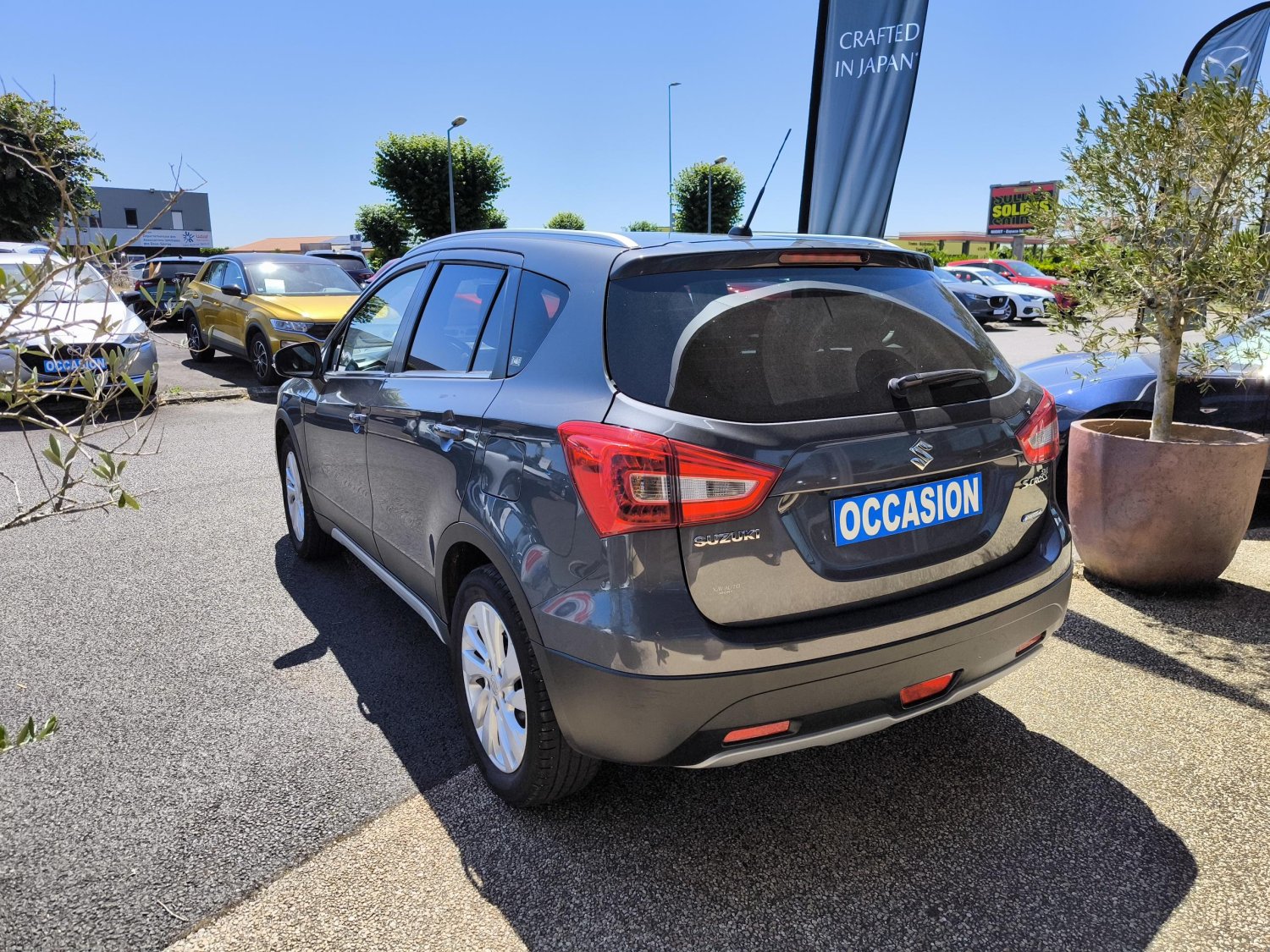 suzuki - Visuel 2