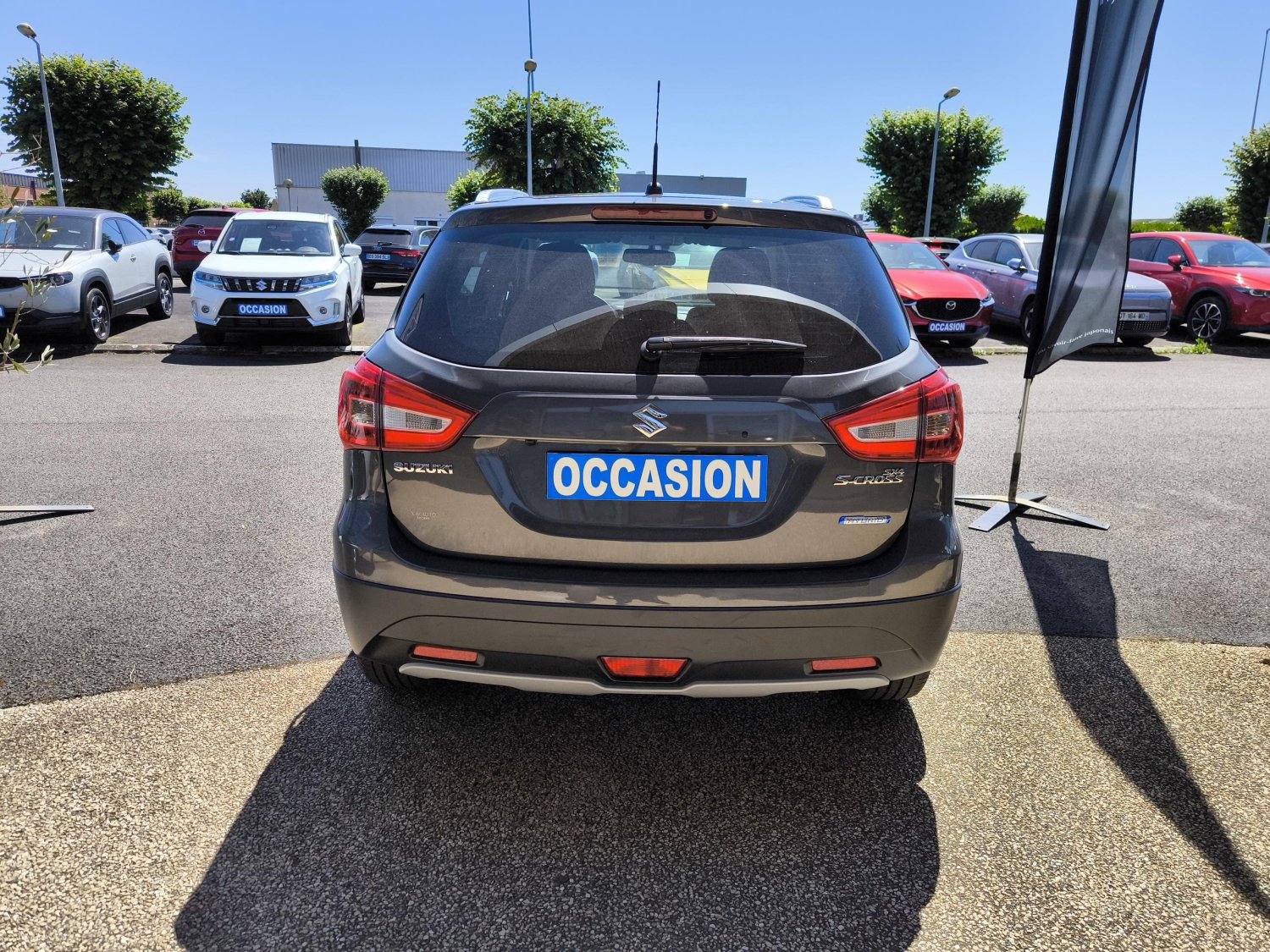 suzuki - Visuel 3