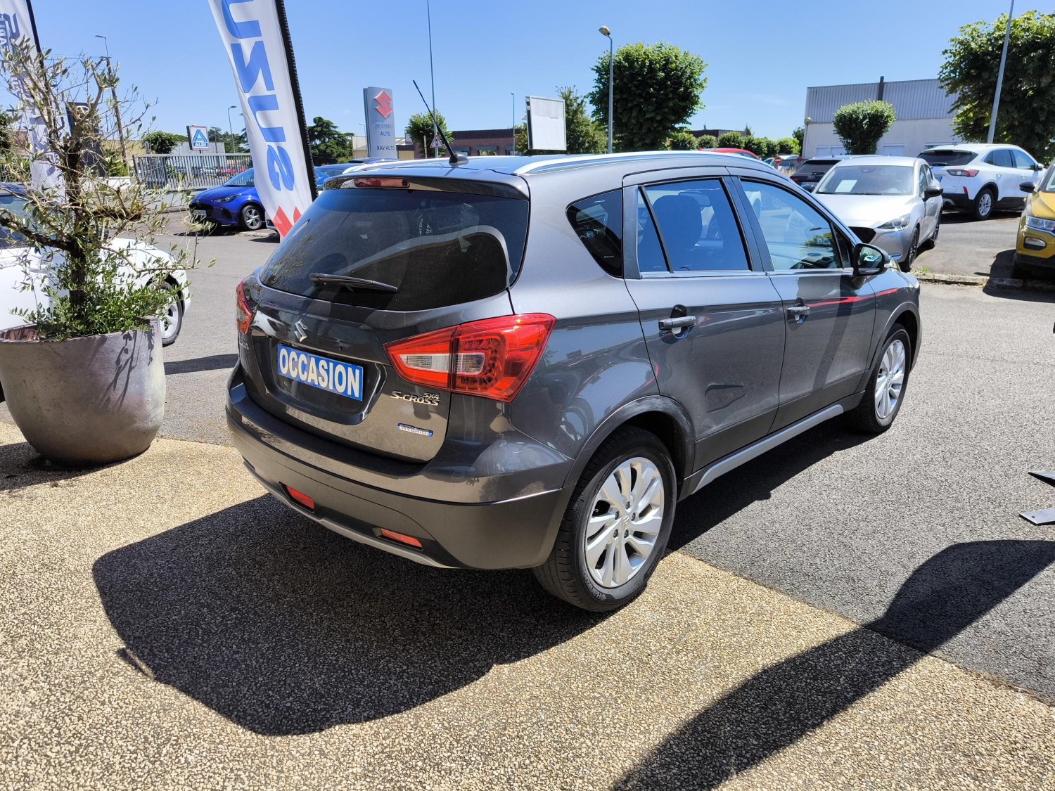 suzuki - Visuel 4