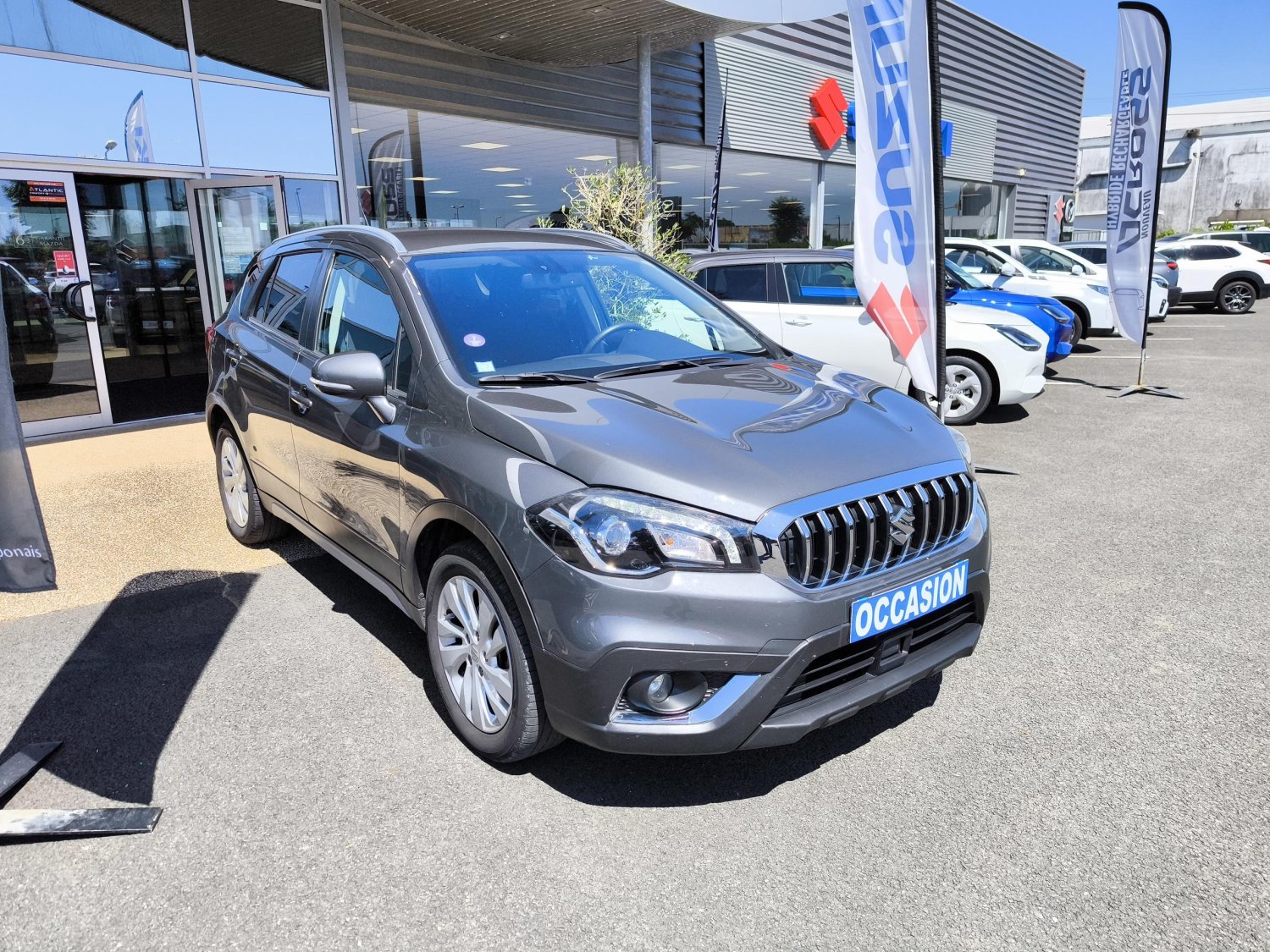 suzuki - Visuel 6