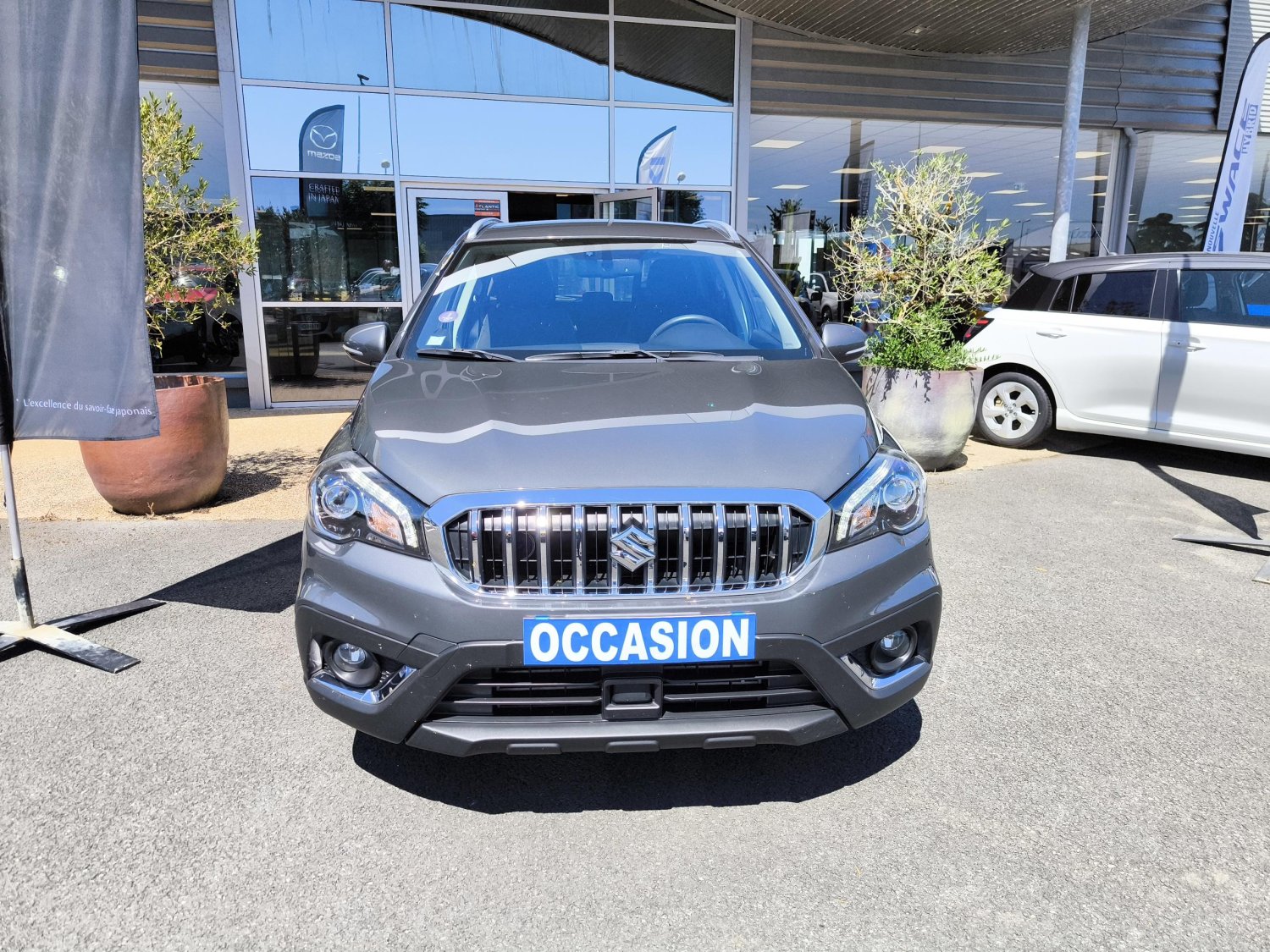 suzuki - Visuel 7