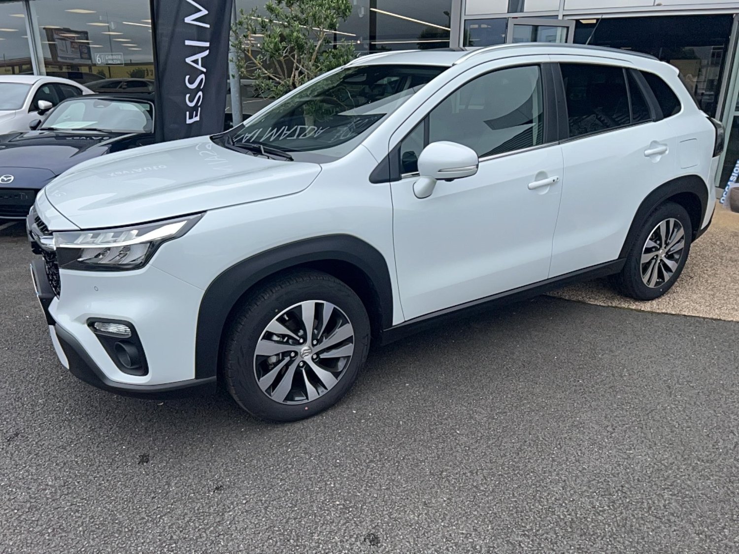 suzuki - Visuel 0