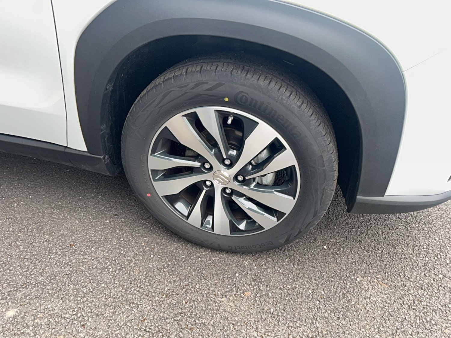 suzuki - Visuel 11