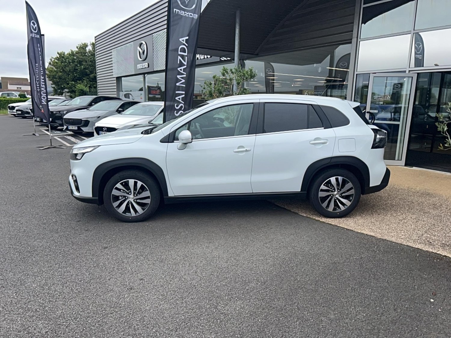 suzuki - Visuel 1