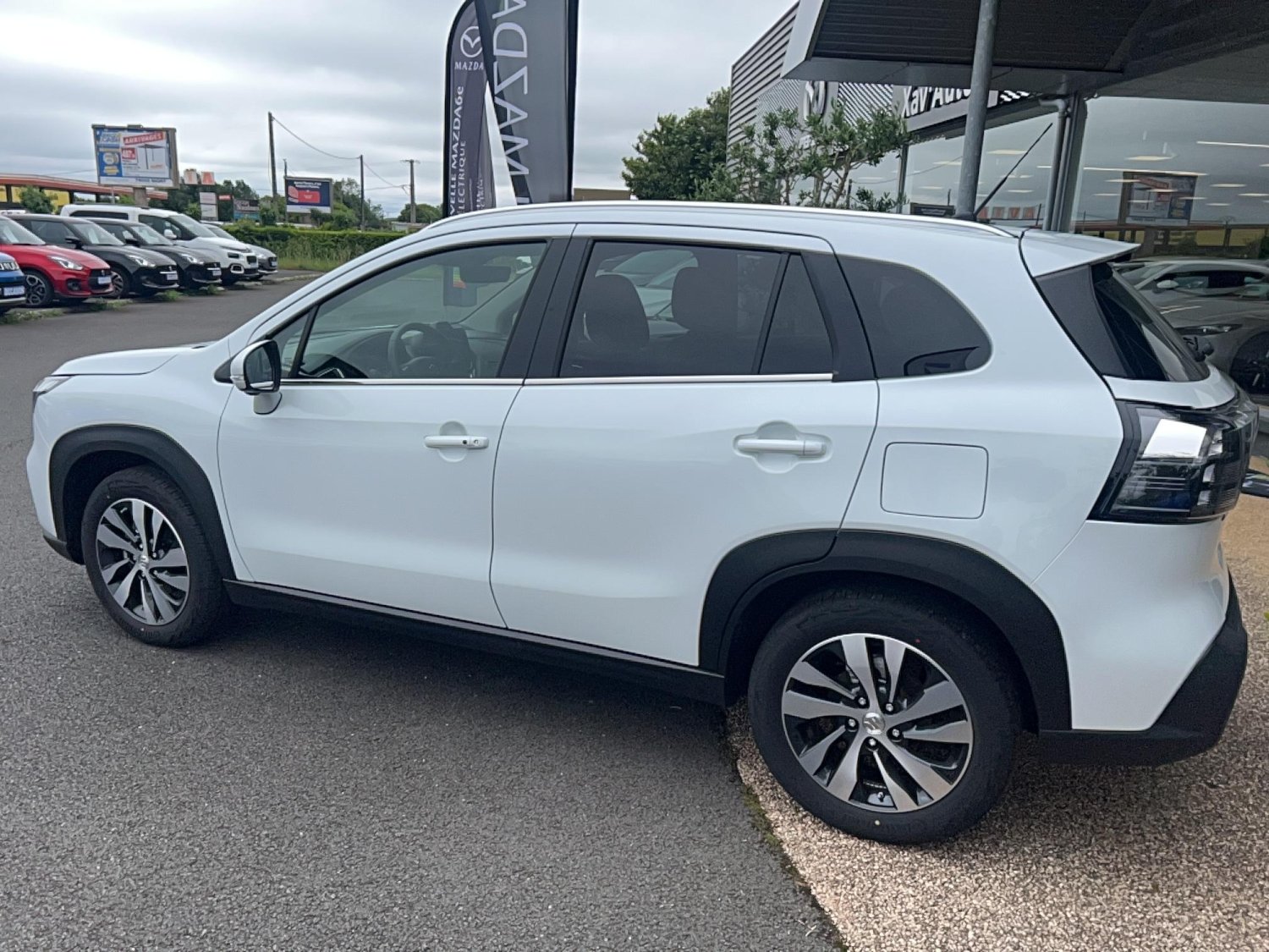 suzuki - Visuel 2