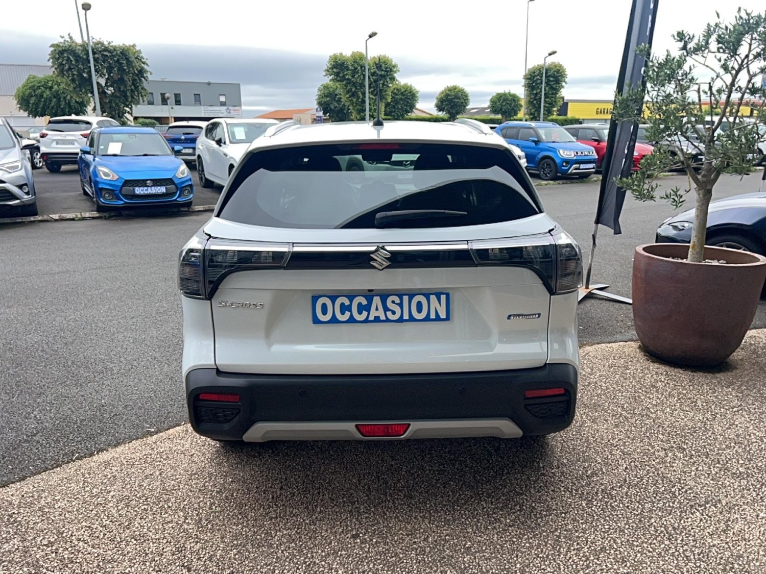 suzuki - Visuel 3