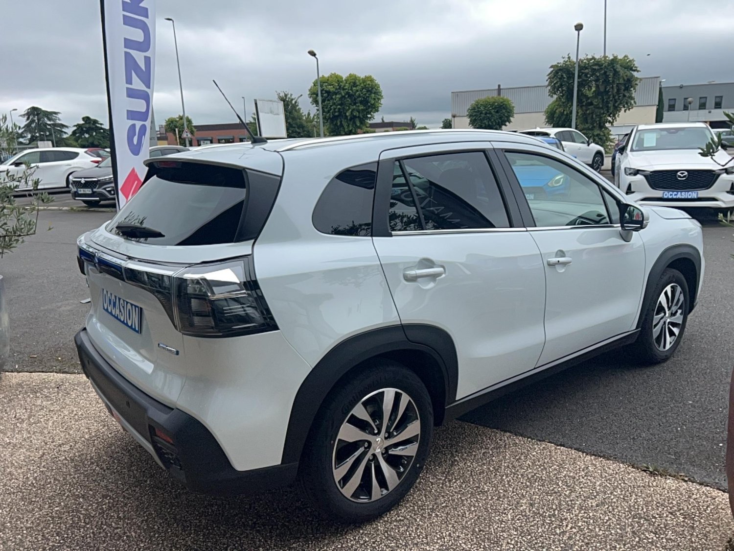 suzuki - Visuel 4