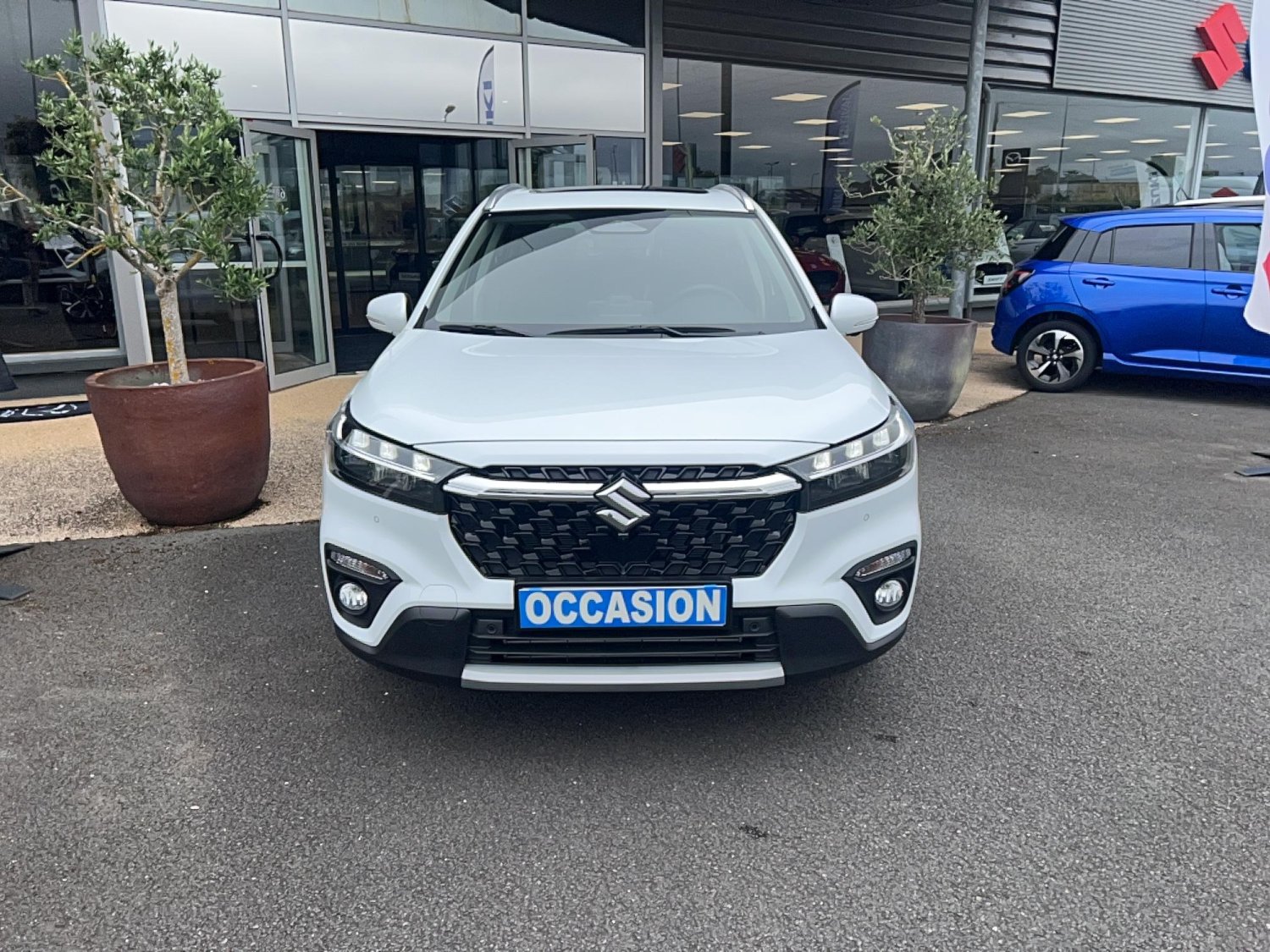 suzuki - Visuel 6