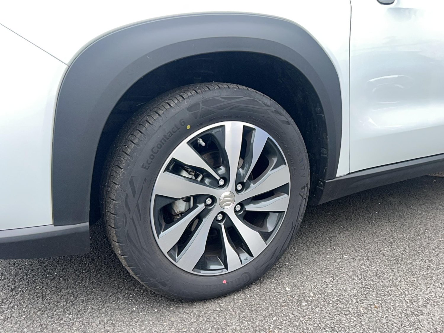 suzuki - Visuel 8
