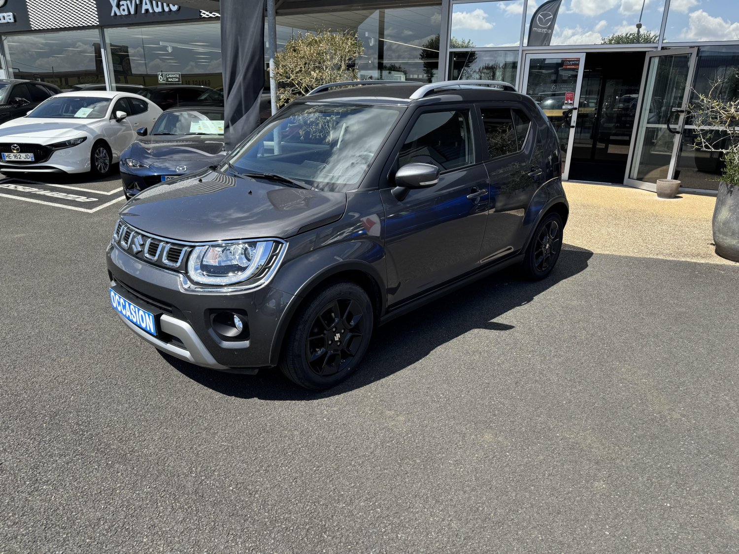 suzuki - Visuel 0