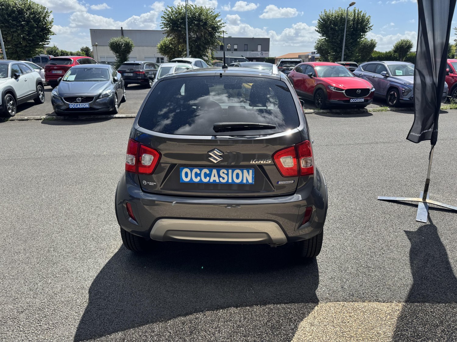suzuki - Visuel 3