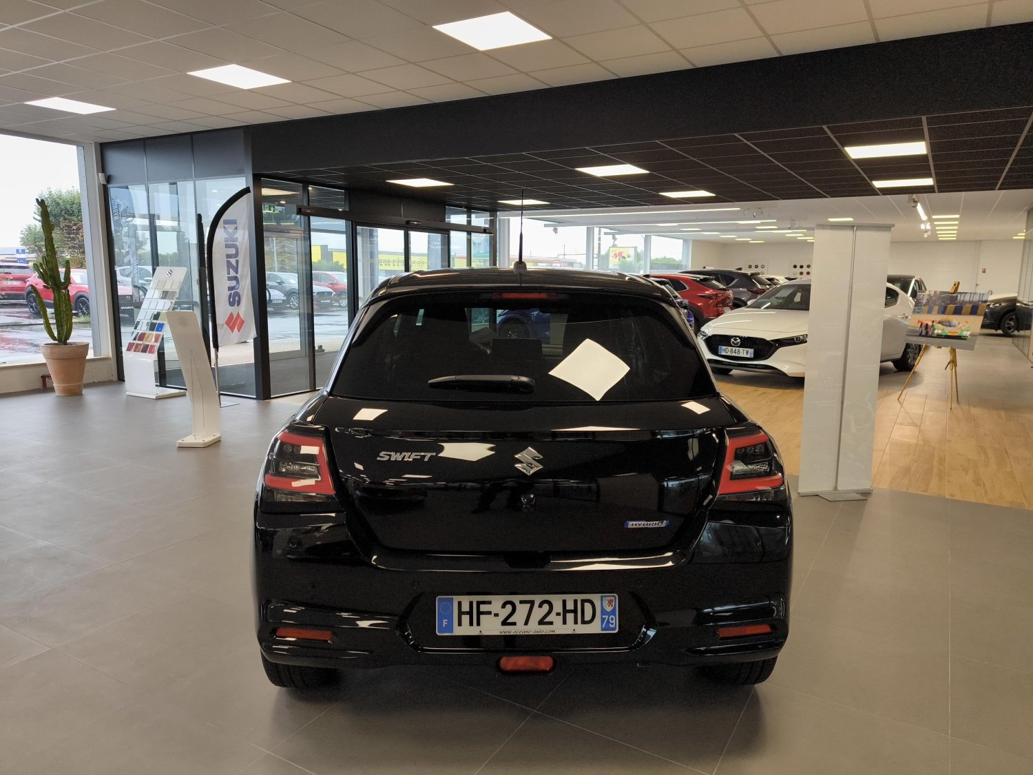 suzuki - Visuel 3
