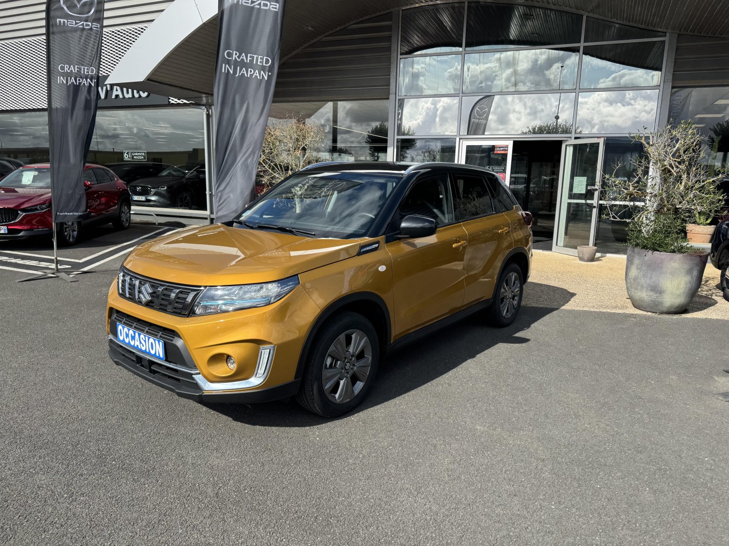 suzuki - Visuel 0