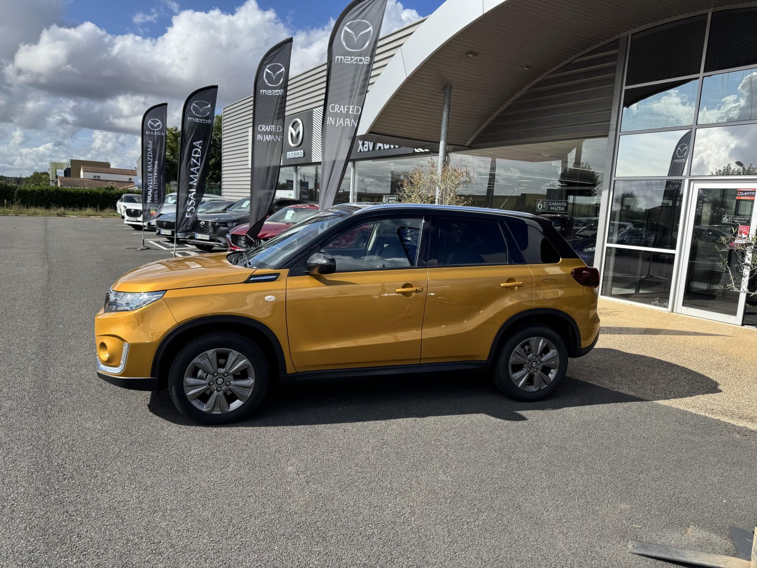 suzuki - Visuel 1