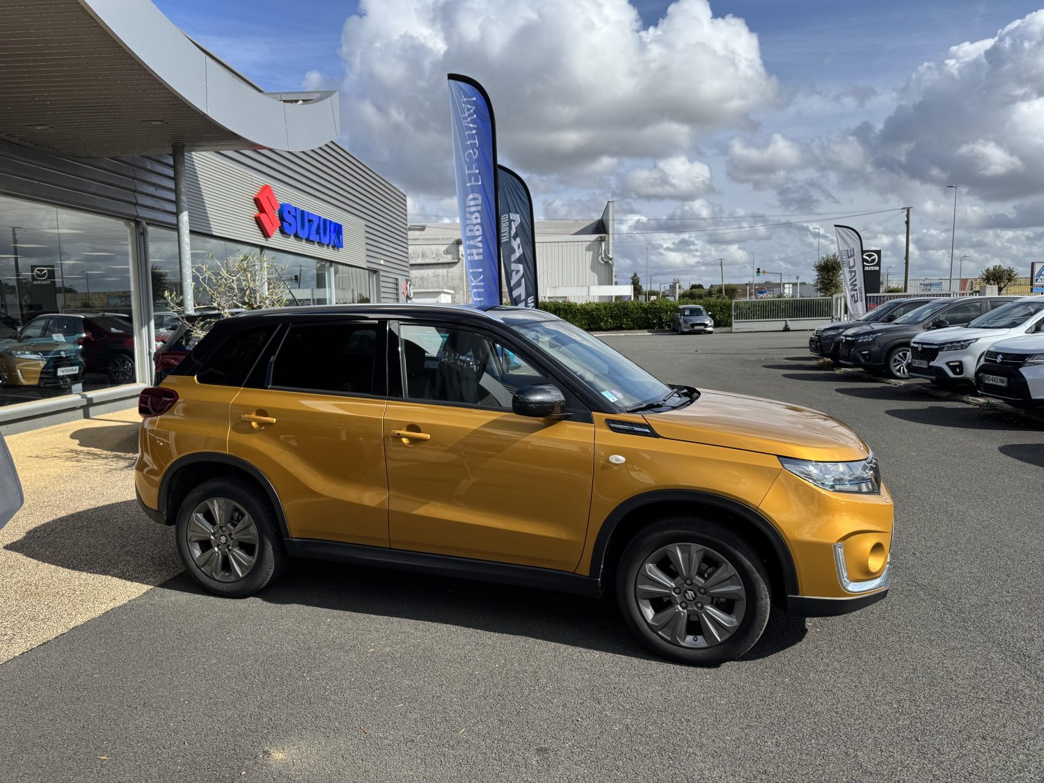 suzuki - Visuel 5