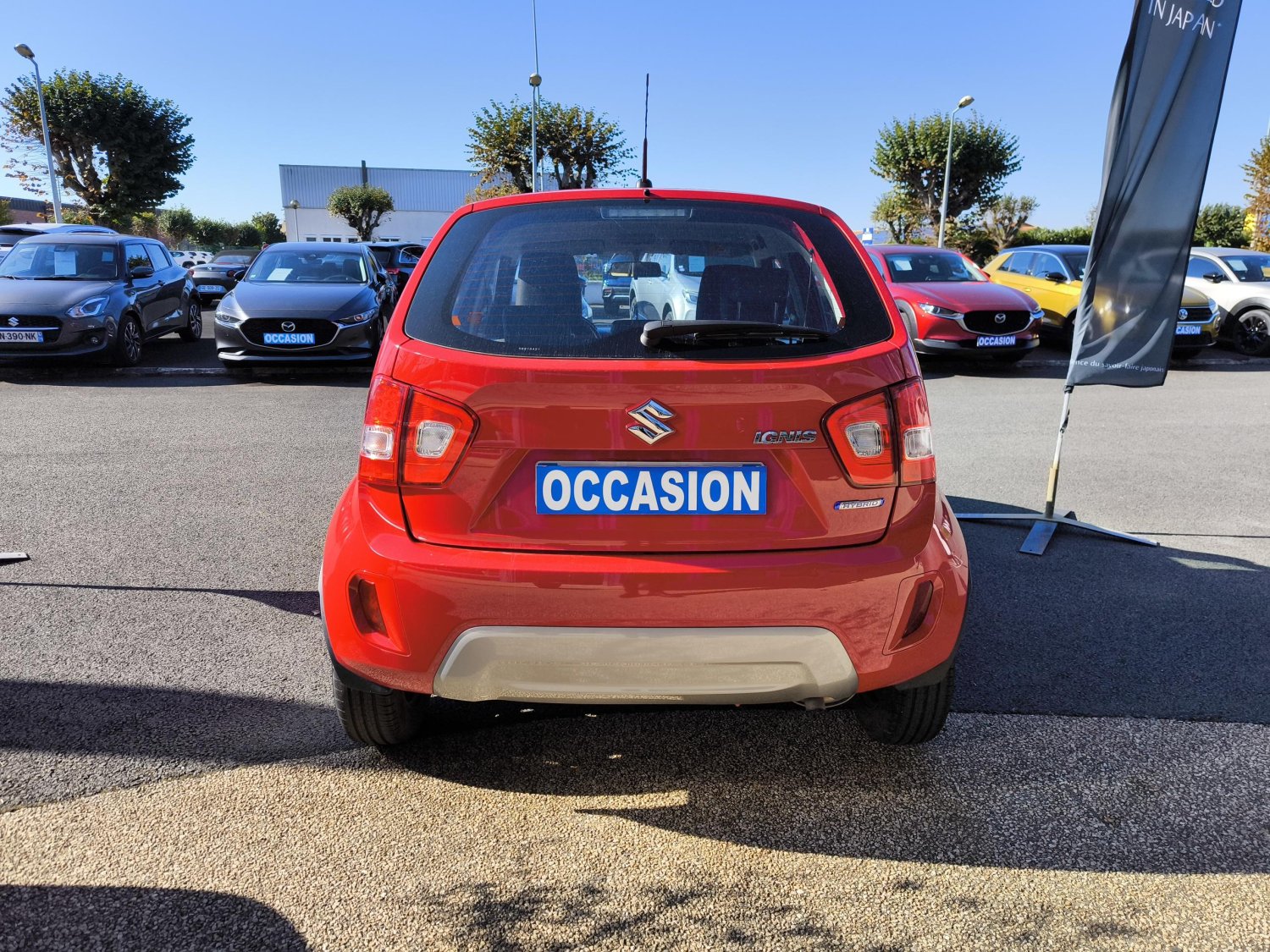 suzuki - Visuel 3