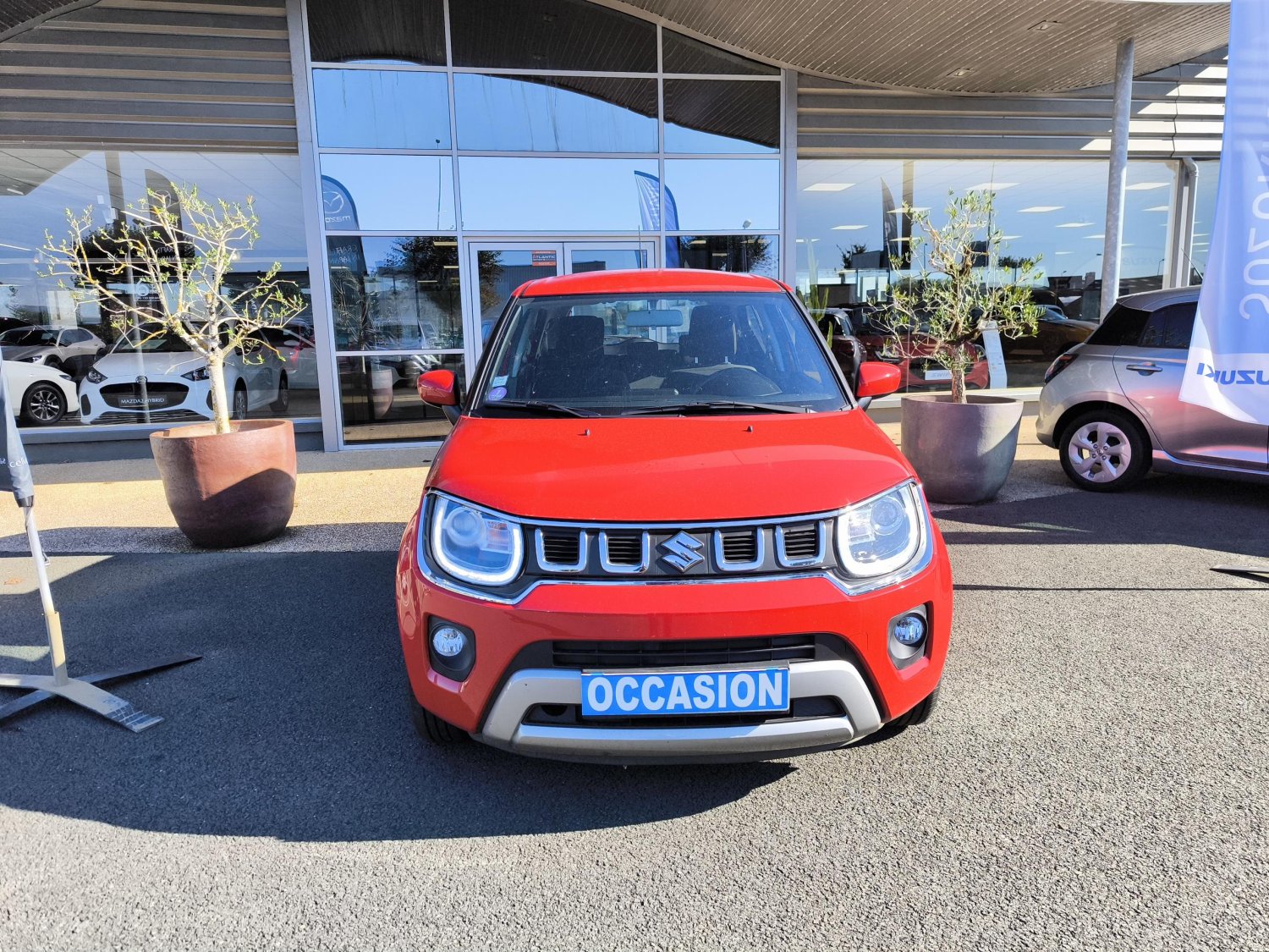 suzuki - Visuel 7