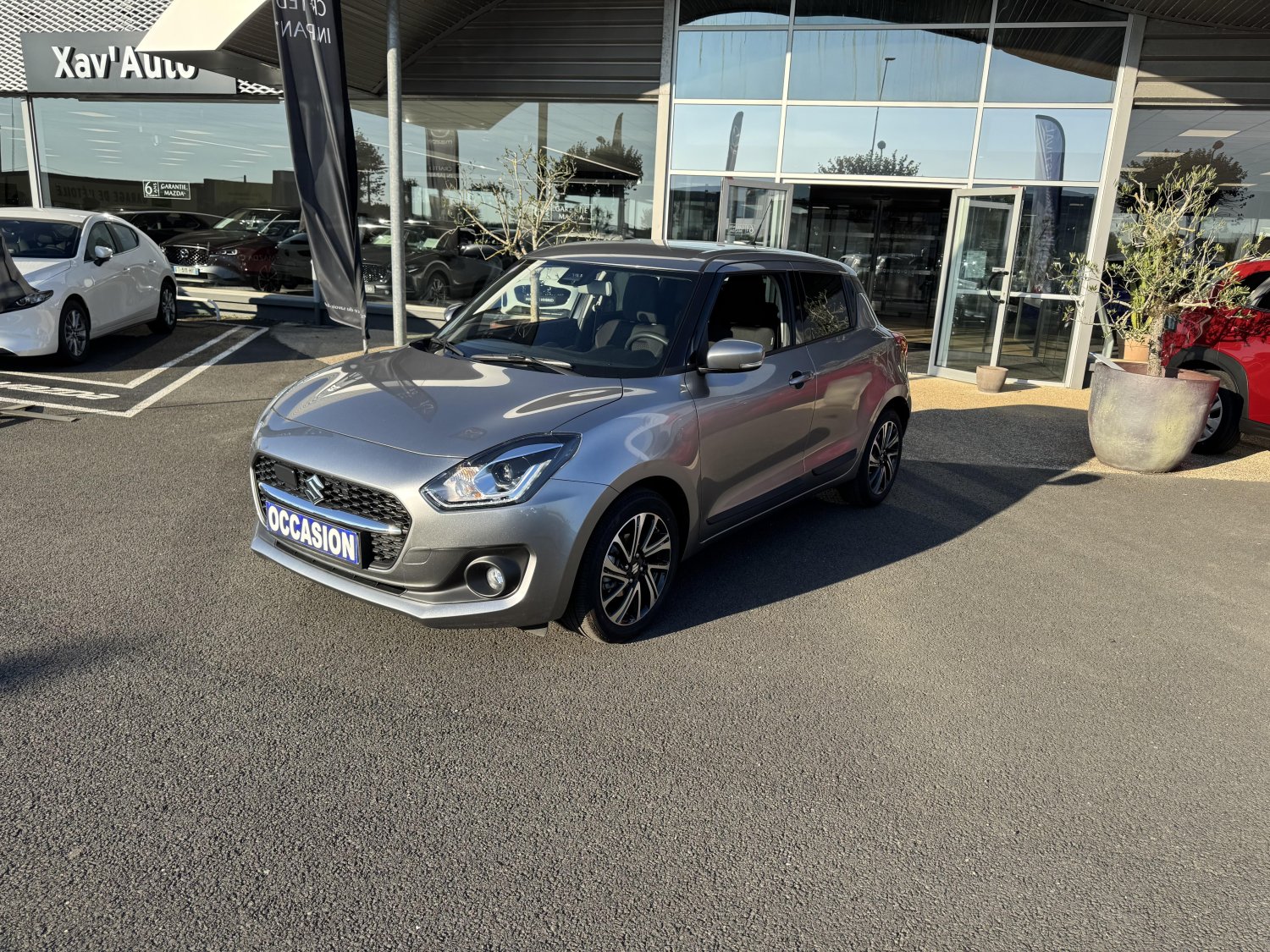 suzuki - Visuel 0