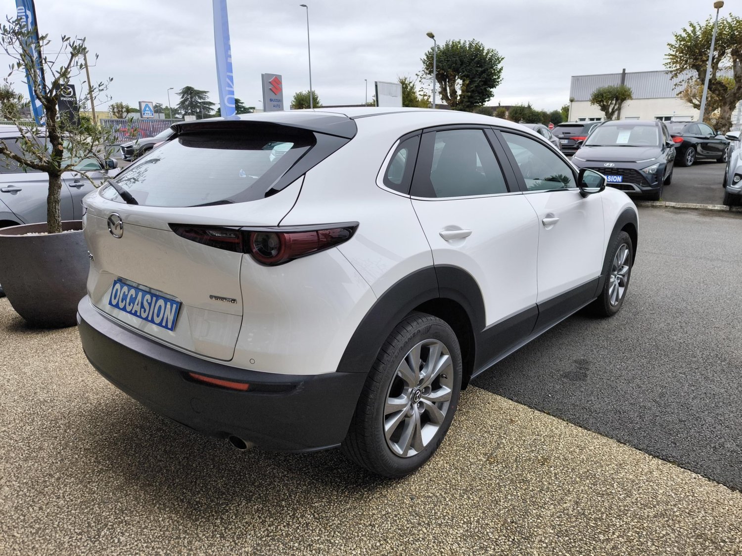 mazda - Visuel 4