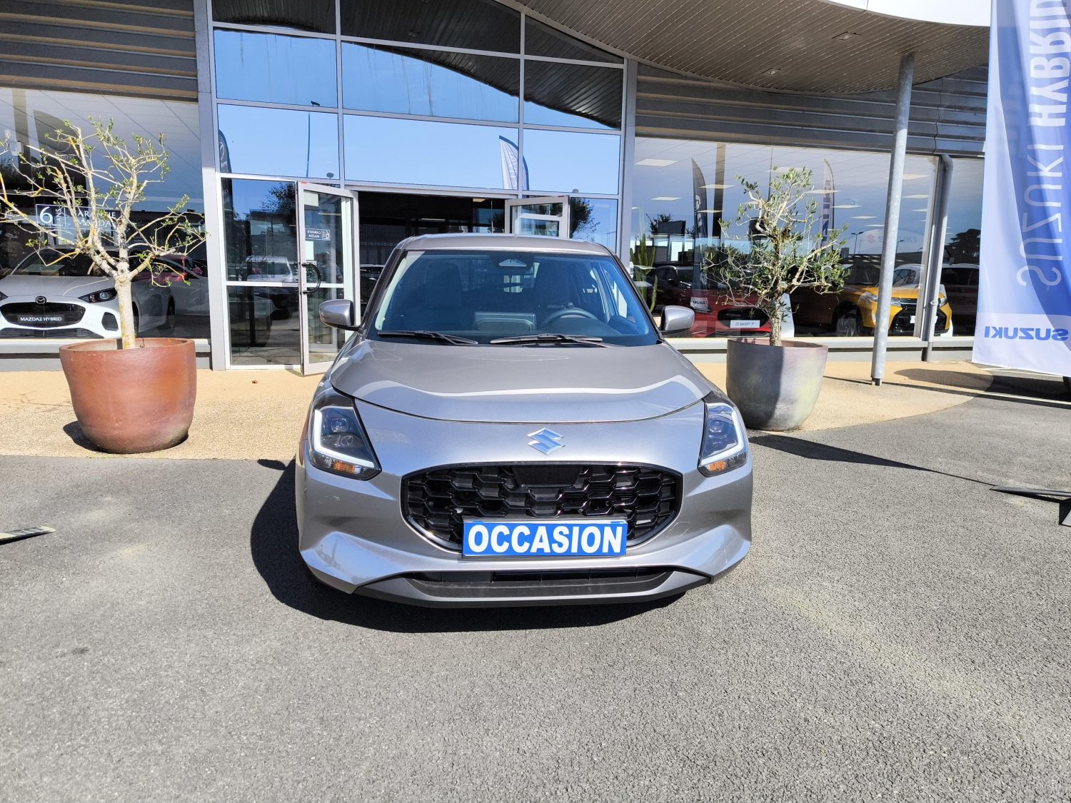 suzuki - Visuel 7