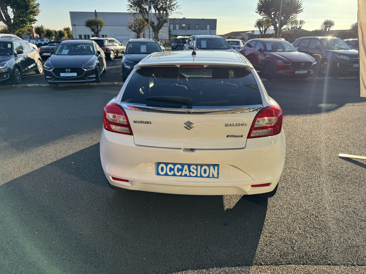 suzuki - Visuel 3