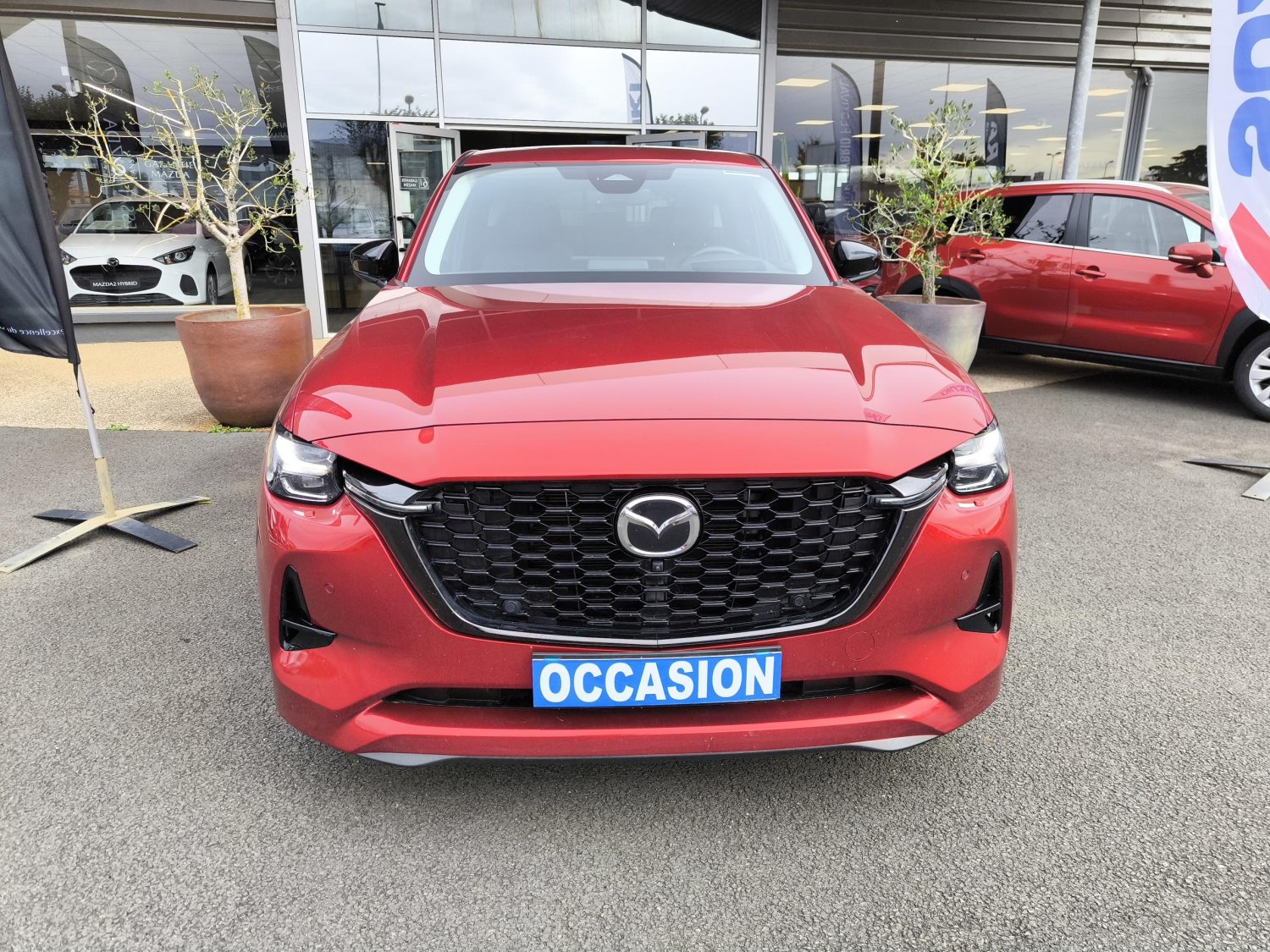 mazda - Visuel 7